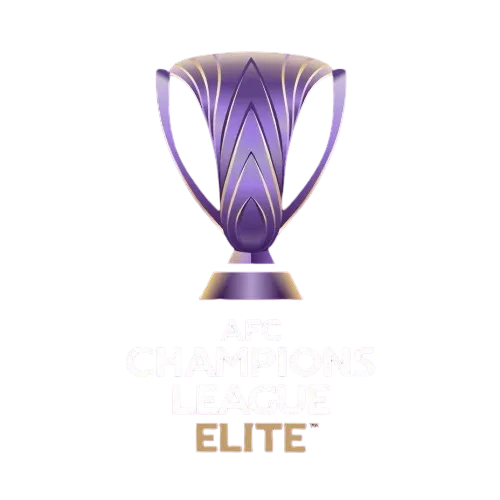 亚冠二级赛 麦克阿瑟FCvs河内公安20251106